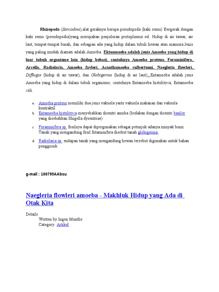 6600 Koleksi Gambar Hewan Amoeba Proteus Terbaru
