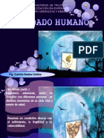 Cuidado Humano