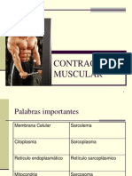 contraccionmuscular-090805212430-phpapp02