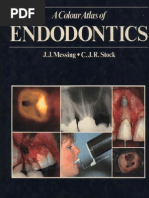 Download A Colour Atlas of Endodontics - Messing by RaWan MouSa SN230744945 doc pdf