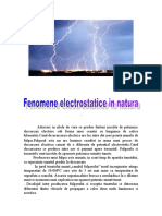 Fenomene Electrice in Natura