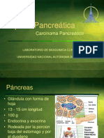 Lipasa Pancreática1