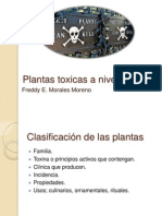 Plantas Toxicas a Nivel GI