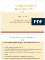 Human Behavior in Organization Chapter 1.