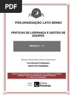 Práticas de Liderança e Gestão de Equipes
