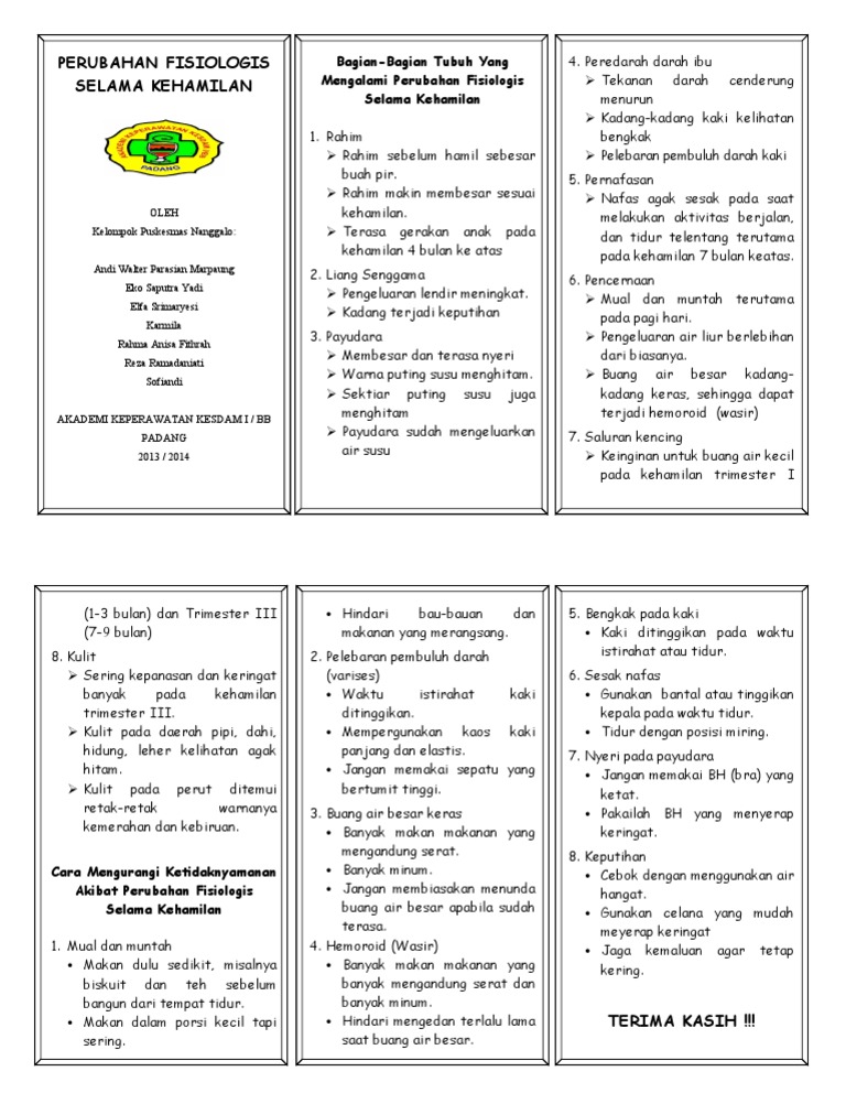 Leaflet Bumil Perubahan Fisiologis