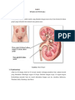 Laporan Kasus Nefrolitiasis