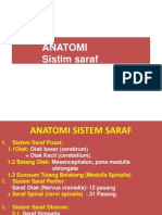 Anatomi - DR - Sulaeman