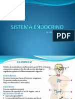 Sistema Endocrino (2)