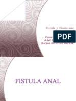 Fistula y Fisura Anal