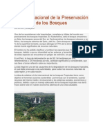 Día Internacional de La Preservación de Los Bosques