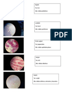 Muestras de Laboratorio 1 Mias