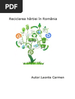 Reciclarea Hârtiei - Leonte Carmen