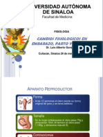 Cambio Fisiologicos en Embarazo, Pato y Purperio