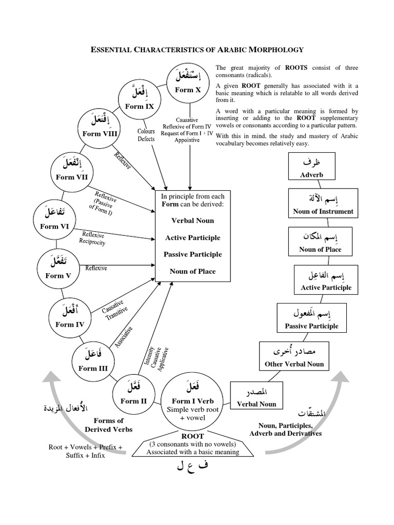 Arabic Morphology Chart Pdf Arabic Morphology Linguistics