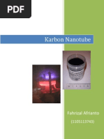 Download Karbon Nanotube by Chinatsu Hayashida SN230861955 doc pdf