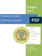 Paramyxoviridae Características Morfológicas y Replicación