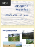 Paisagem agrária 