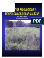 Aspectos Fisiologicos y Morfologicos de Malezas Giorgio