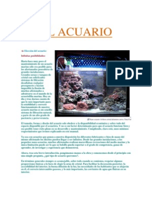 Activación de arena viva en un acuario de arrecife