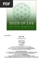 Bitplane Imaris V7 2 3 Cracked Vertebrae