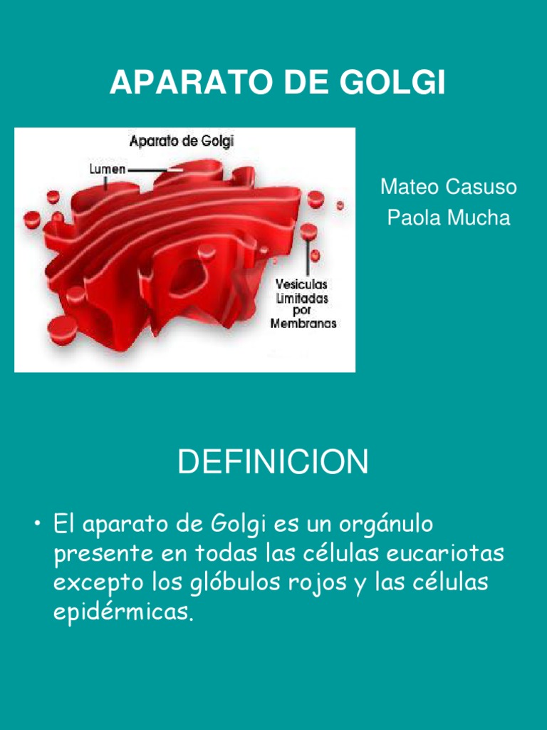 Aparato de Golgi | PDF