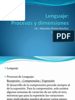 Lenguaje Procesos y Dimensiones Estimulacion Temprana