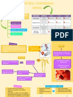 Control Hormonal Renal