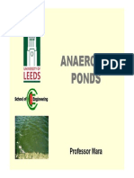3b Anaerobic Ponds
