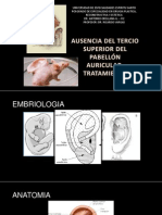 Ausencia de Tercio Sup Oreja