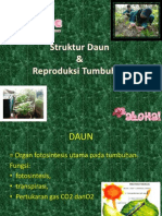 S Daun&O R