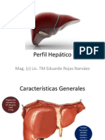 Perfil Hepático