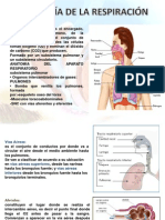 Respiración (Introducción)