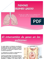 Pulmones, Intercambio Gaseoso
