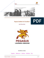 An Overview - Pegasus Institute