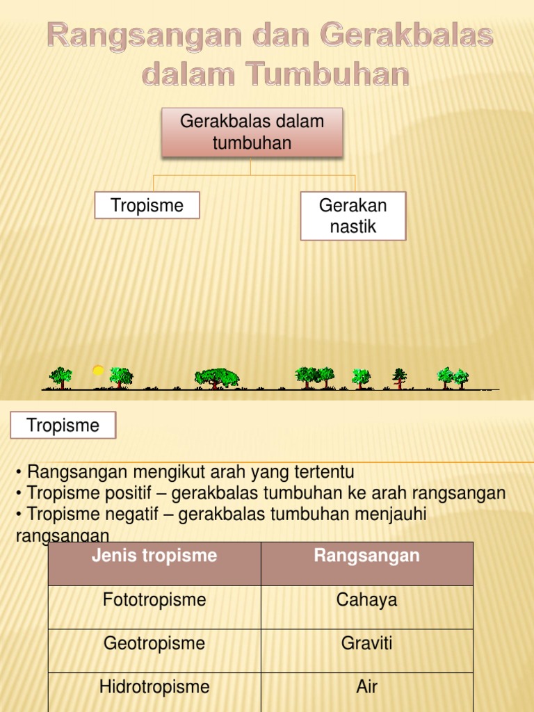 1 4 Tropisme Pdf