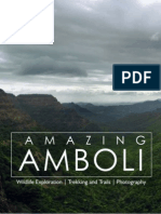 Amazing Amboli: E-Brochure