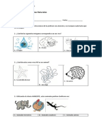 Diagnostico de Ciencias Naturales PRIMERO BASICO