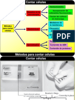 Recuento Viabilidad Celular