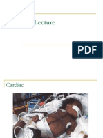 Cardiac Disorder Pedia