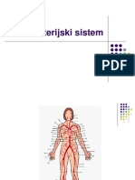 Arterijski Sistem