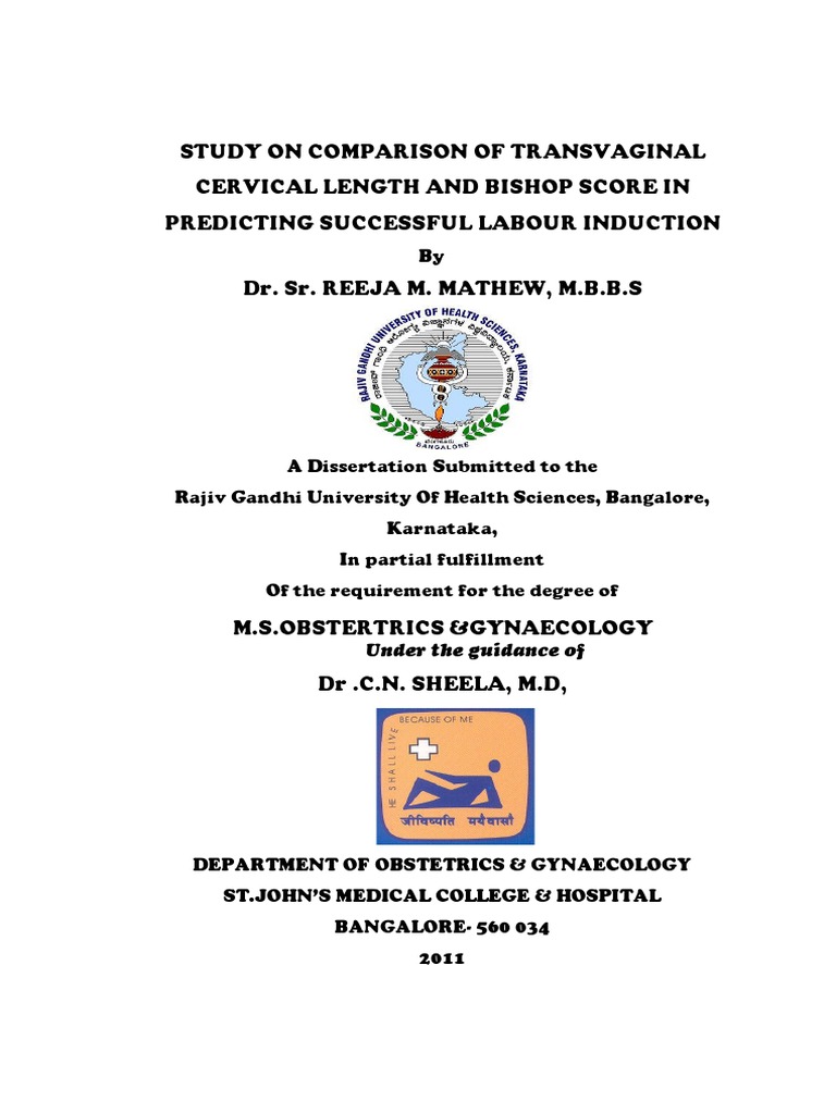 Preterm birth thesis image