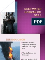 2006 Deep Water Horizon Oil Spill