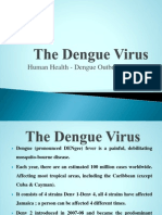 Dengue Outbreak Jamaica 2007-08