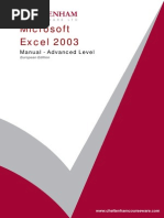 Excel 2003 Advanced Manual Eur