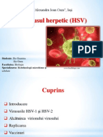 Virusul Herpetic (HSV)