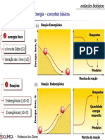 08 Oxidaes PDF - Prof Ademar