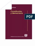 Constitutucion y Democracia - PDF