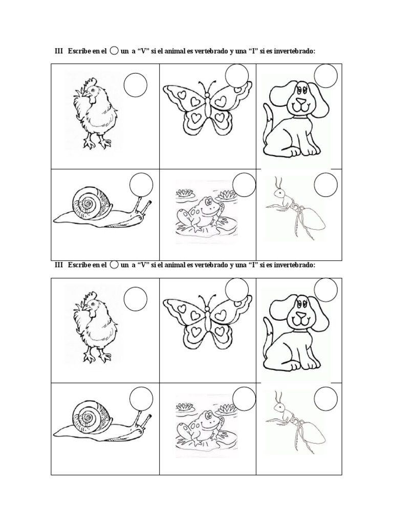 Animales Vertebrados E Invertebrados Ficha Imprimible Y Actividades