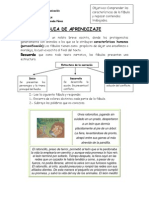 GUIA-sujeto 4°